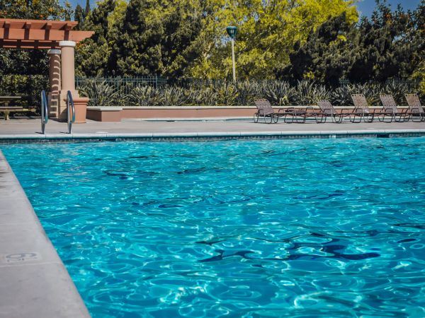 Découvrez les piscines discount : qualité au meilleur prix !
